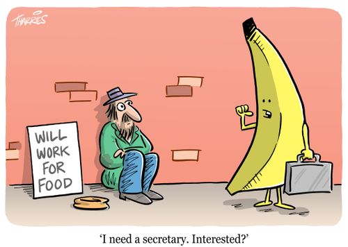 'I need a secretary. Interested?'