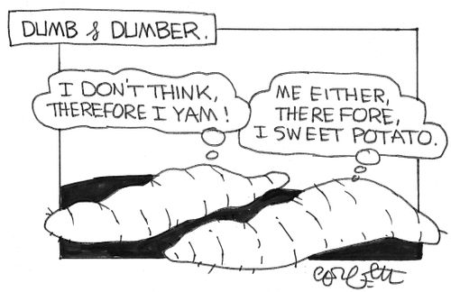 Dumb & dumber: 'I don't think, therefore I YAM!...'Me either, therefore I SWEET POTATO.'