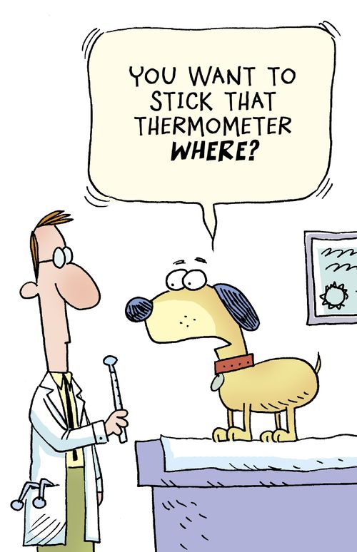 'You want to stick that thermometer where?'