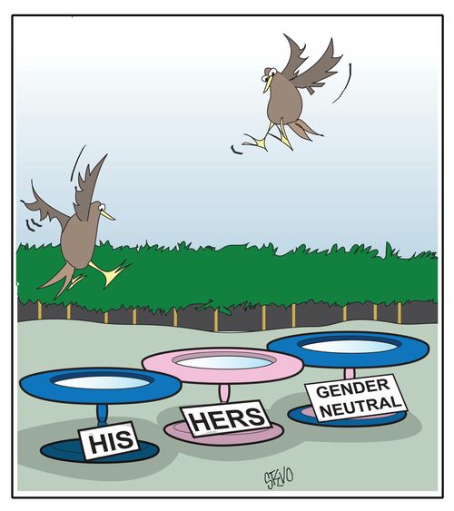 Birdbath Choices: His, Hers, and Gender Neutral.
