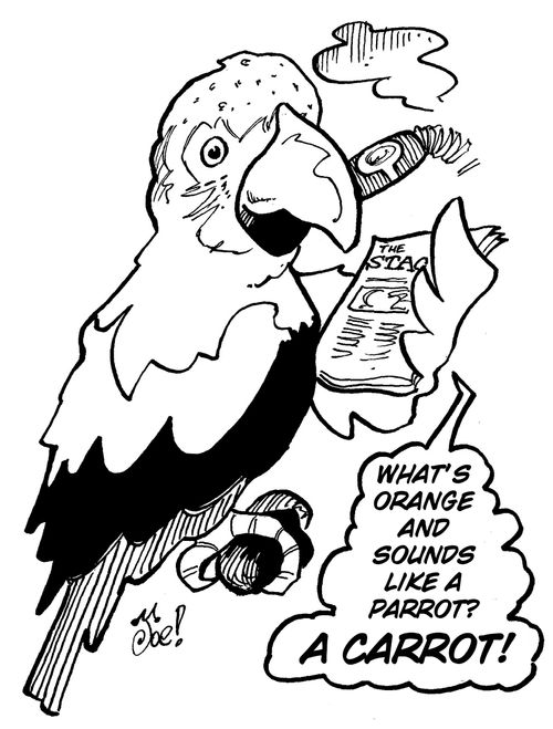 "What's orange and sounds like a parrot? A carrot!"