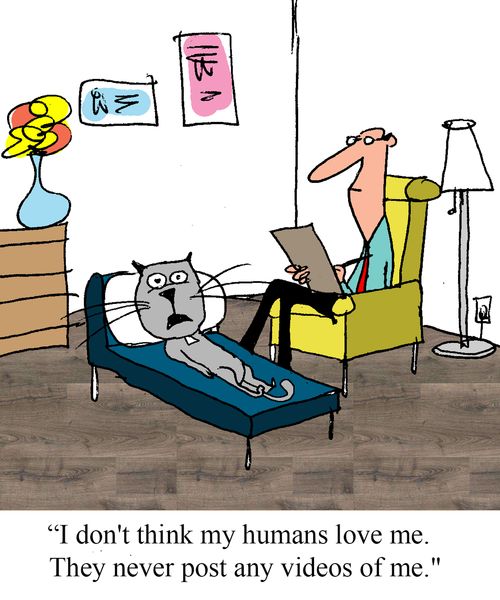 "I don't think my humans love me. They never post any videos of me."