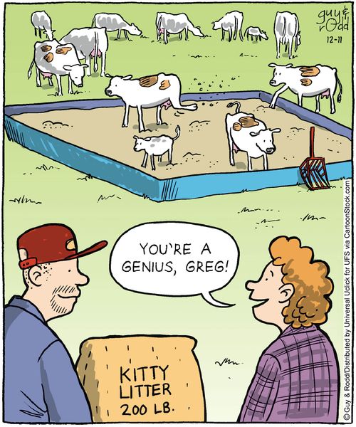 'You're a genius, Greg!'
