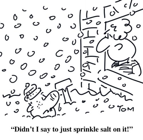 "Didn't I say to just sprinkle salt on it!"
