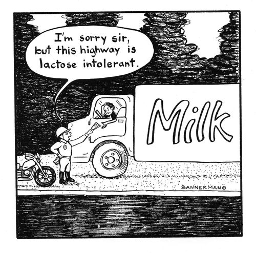 'I'm sorry sir, but this highway is lactose intolerant.'