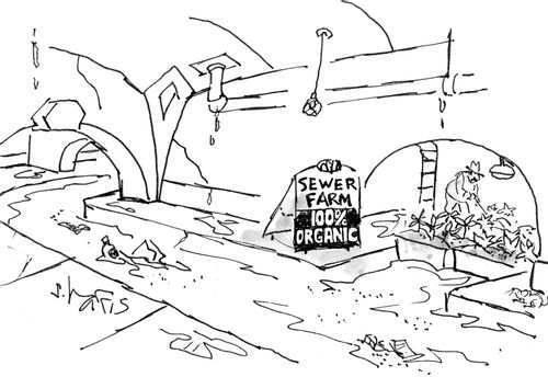 'Sewer farm - 100% organic'