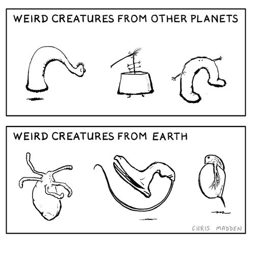 Strange and exotic creatures that exist on other planets - and ones that exist here on earth.