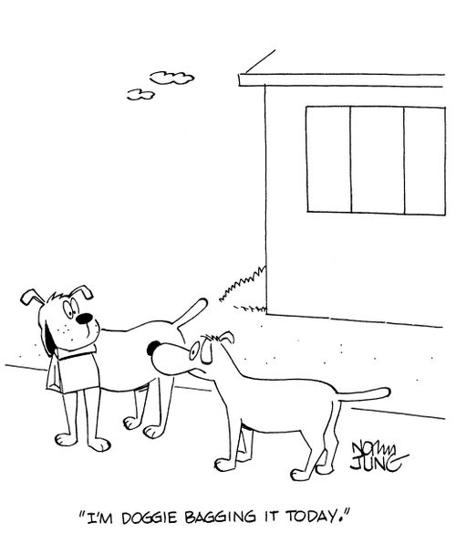 'I'm doggie bagging it today.'