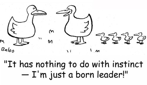 'It has nothing to do with instinct -- I'm just a born leader!'