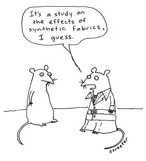 Rat - Study on effect of synthetic fabrics.