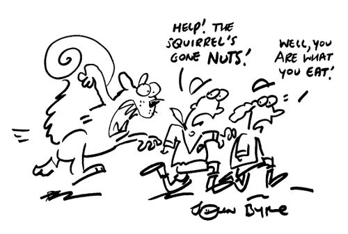 "Help! The squirrels gone nuts!"