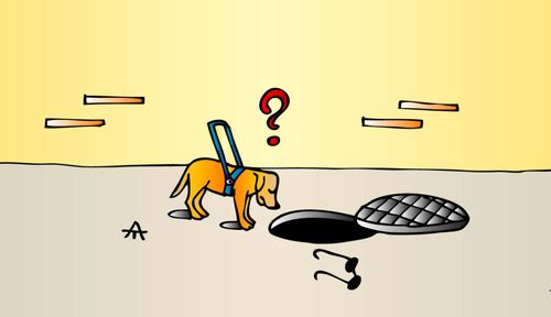 Guide Dog Disasters