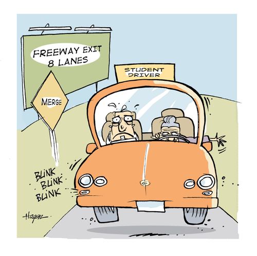 Elderly lady taking driving lessons.
