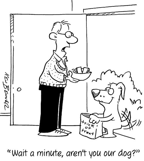 "Wait a minute, aren't you our dog?"