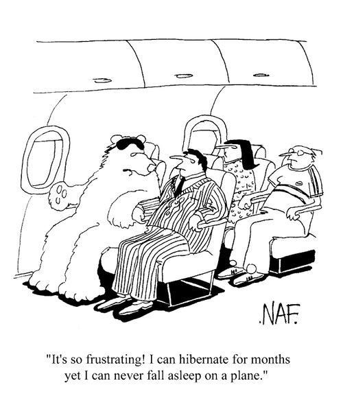 "...I can hibernate for months yet I can never fall asleep on a plane"