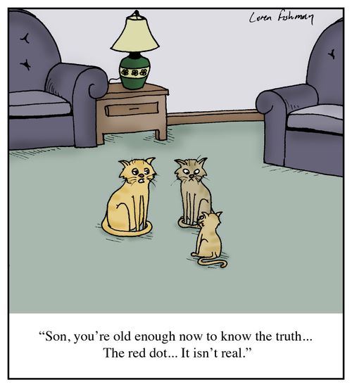 'Son, you're old enough now to know the truth...The red dot...It isn't real.'