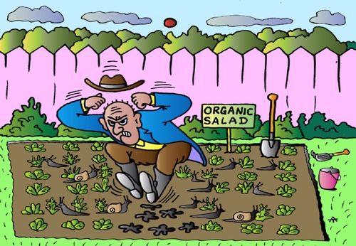 The Endless Battle of the Organic Gardener