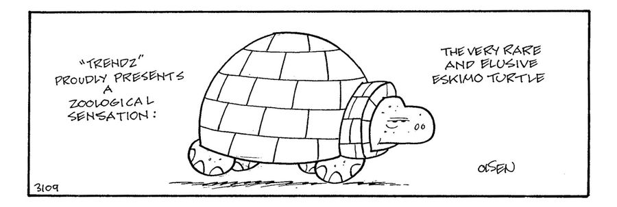 The very rare and elusive Eskimo turtle.