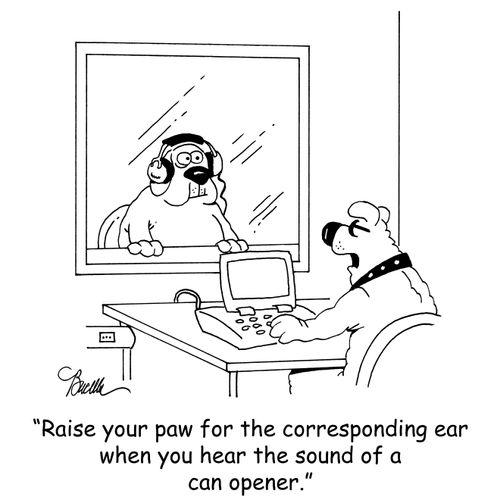 'Raise your paw for the corresponding ear when you hear the sound of a can opener.'