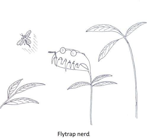 Flytrap nerd.