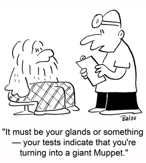 'It must be your glands or something -- your tests indicate that you're turning into a giant Muppet.'