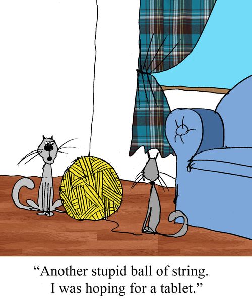 'Another stupid ball of string.  I was hoping for a tablet."