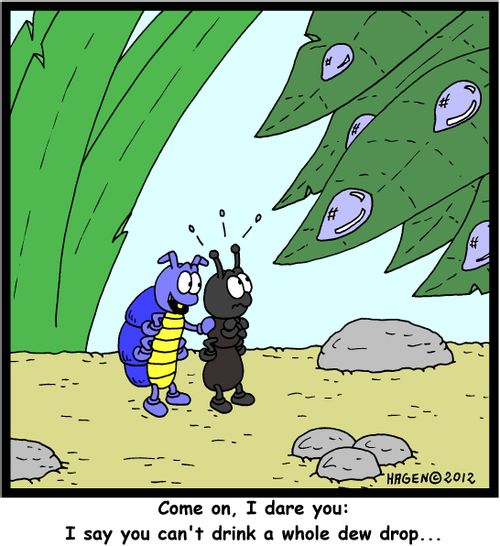'Come on, I dare you: I say you can't drink a whole dew drop...'
