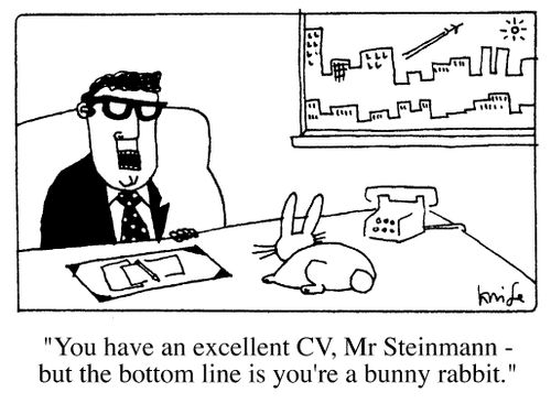 "You have an excellent CV Mr Steinmann - but the bottom line is you're a bunny rabbit."