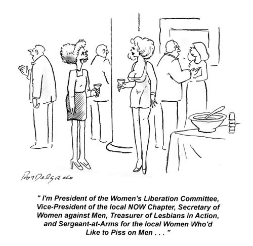 'I'm President of the Women's Liberation Committee, Vice-President of the local NOW Chapter...'