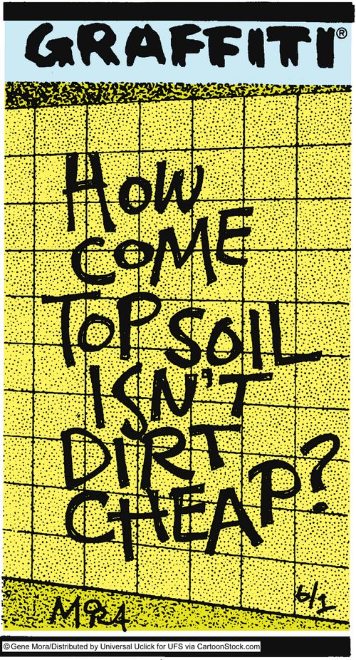 How come top soil isn't dirt cheat?