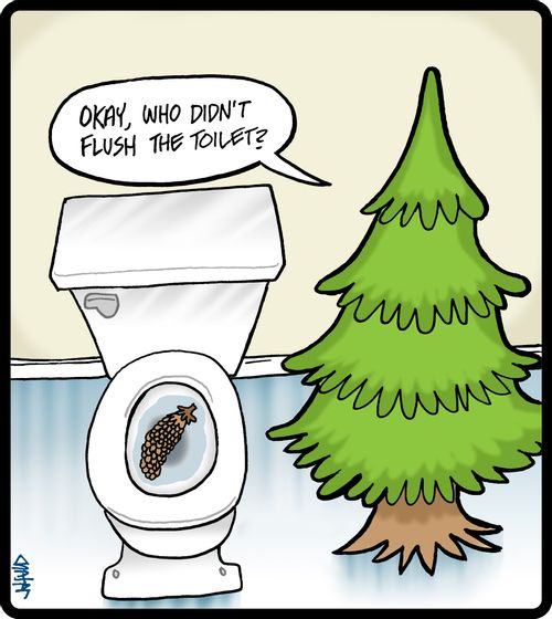 'Okay, who didn't flush the toilet?'