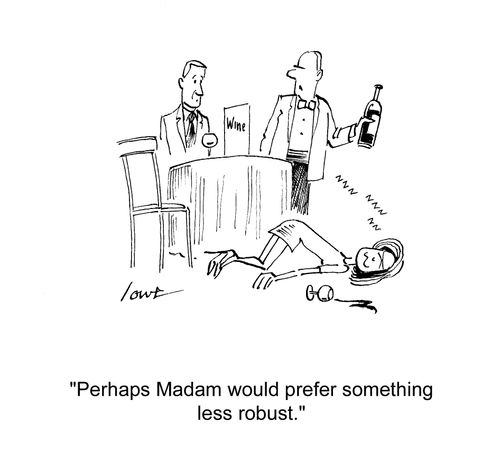 'Perhaps Madam would prefer something less robust.'