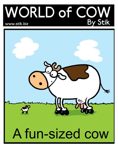 A fun-sized cow.