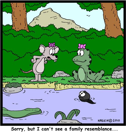 'Sorry, but I can't see a family resemblance...'