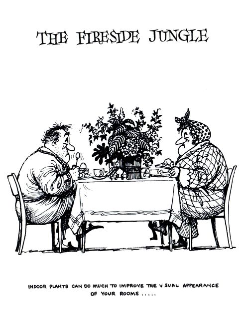 The Fireside Jungle: Indoor plants can do much to improve the visual appearance of your rooms...