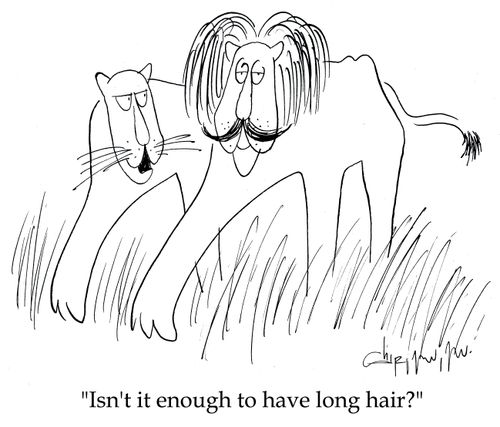 'Isn't it enough to have long hair?'