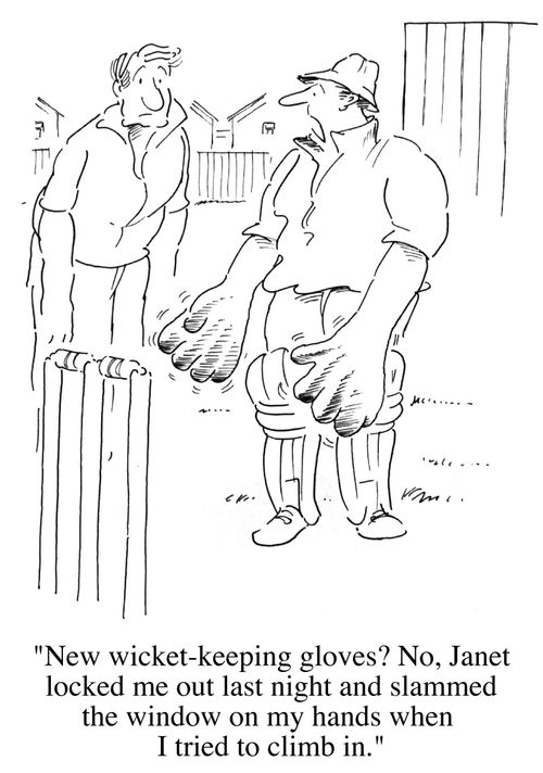 New wicket keeping gloves ?