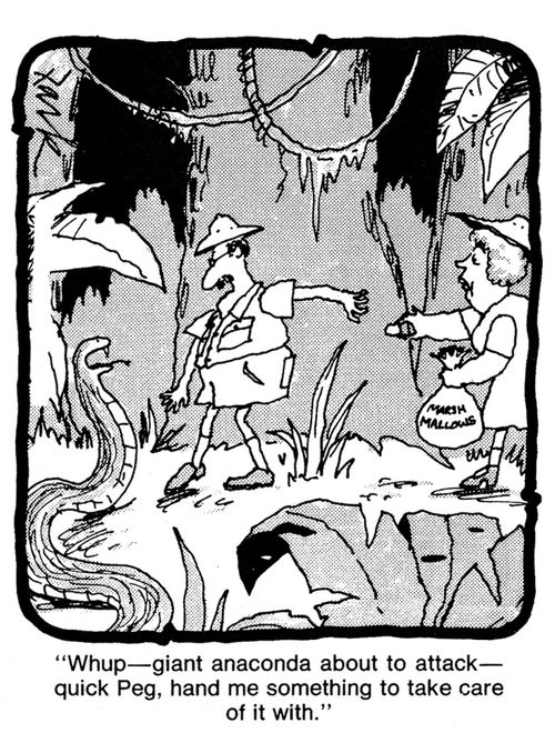 'Whup - giant anaconda about to attack - quick Peg, hand me something to take care of it with.'