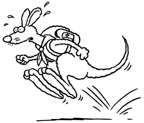 Kangaroo in a hurry.