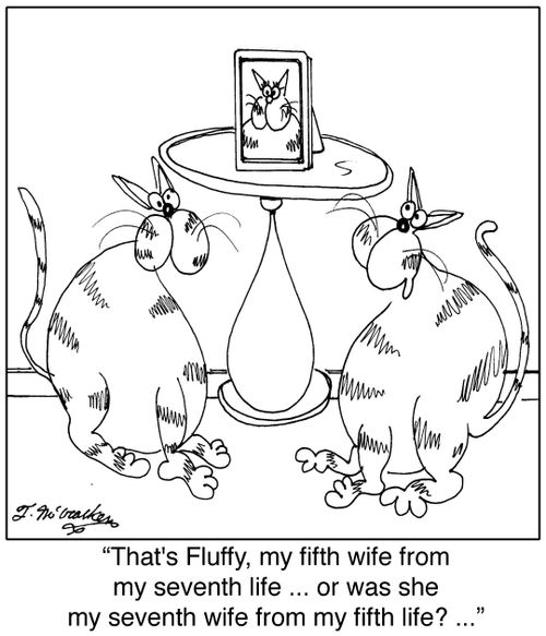  'That's Fluffy, my fifth wife from my seventh life ... or was she my seventh wife from my fifth life? ... '