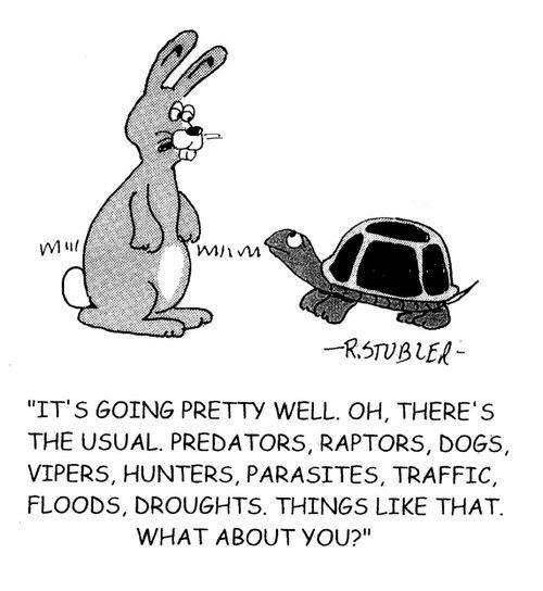 'It's going pretty well. Oh,there's the usual. Predators, raptors, dogs, vipers, hunters, parasites, traffic, floods, droughts. Things like that. What about you?'