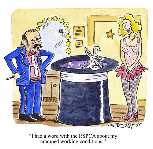 Rabbit in giant top hat says: 'I had a word with the RSPCA about my cramped working conditions.' 