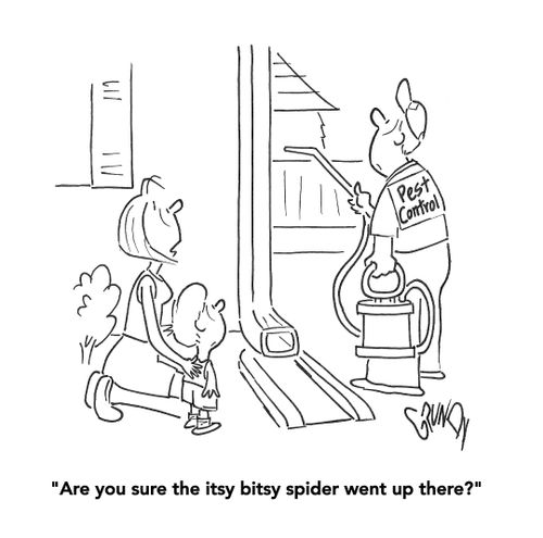 "Are you sure the itsy bitsy spider went up there?" 
