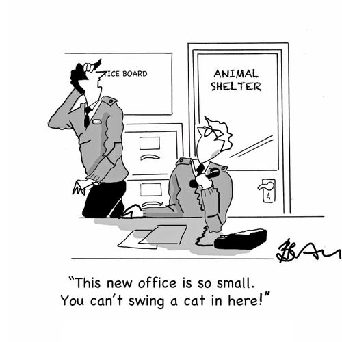 "This new office is so small. You can't swing a cat in here."
