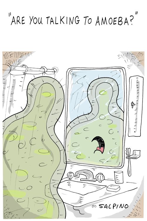 "Are you talking to amoeba?"