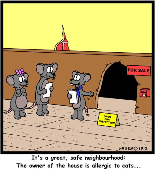 'It's a great, safe neighbourhood: The owner of the house is allergic to cats...'