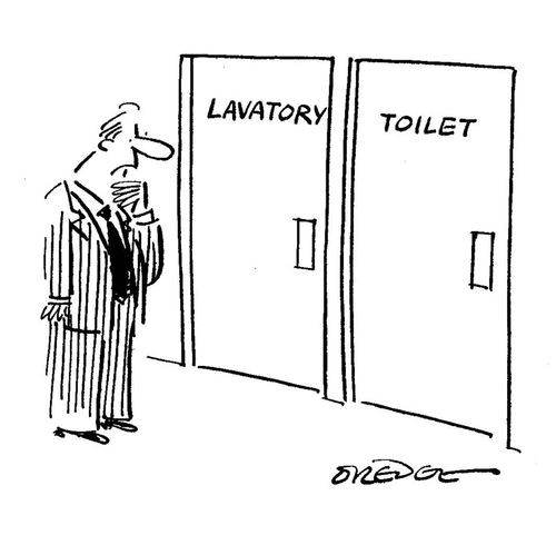 Lavatory and Toilet Options.