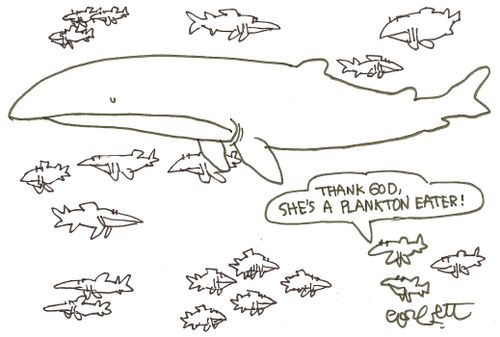 Fish: 'Thank God, she's a plankton eater!'