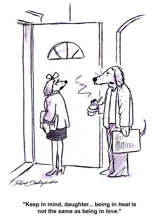 'Keep in mind, daughter... being in heat is not the same as being in love.'