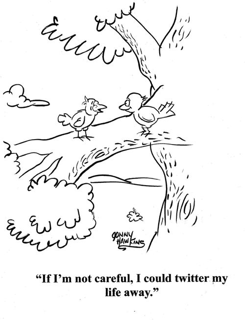 Bird to bird: 'If I'm not careful, I could twitter my life away.'